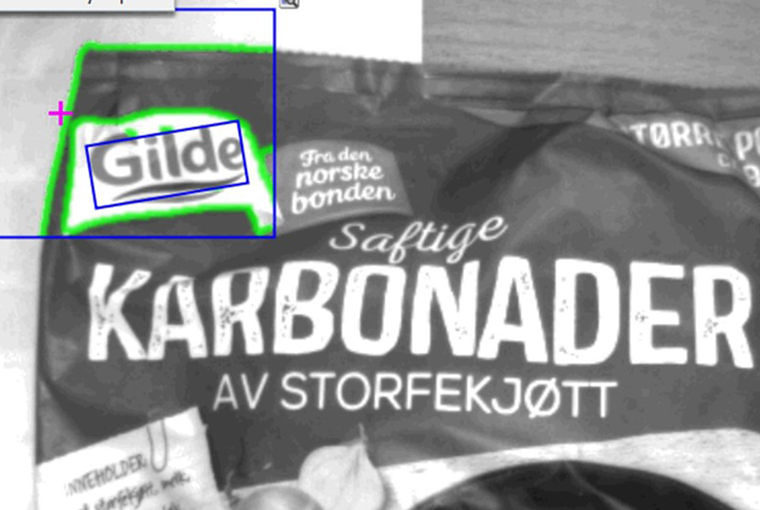 Vision kamerasystemer. bilde